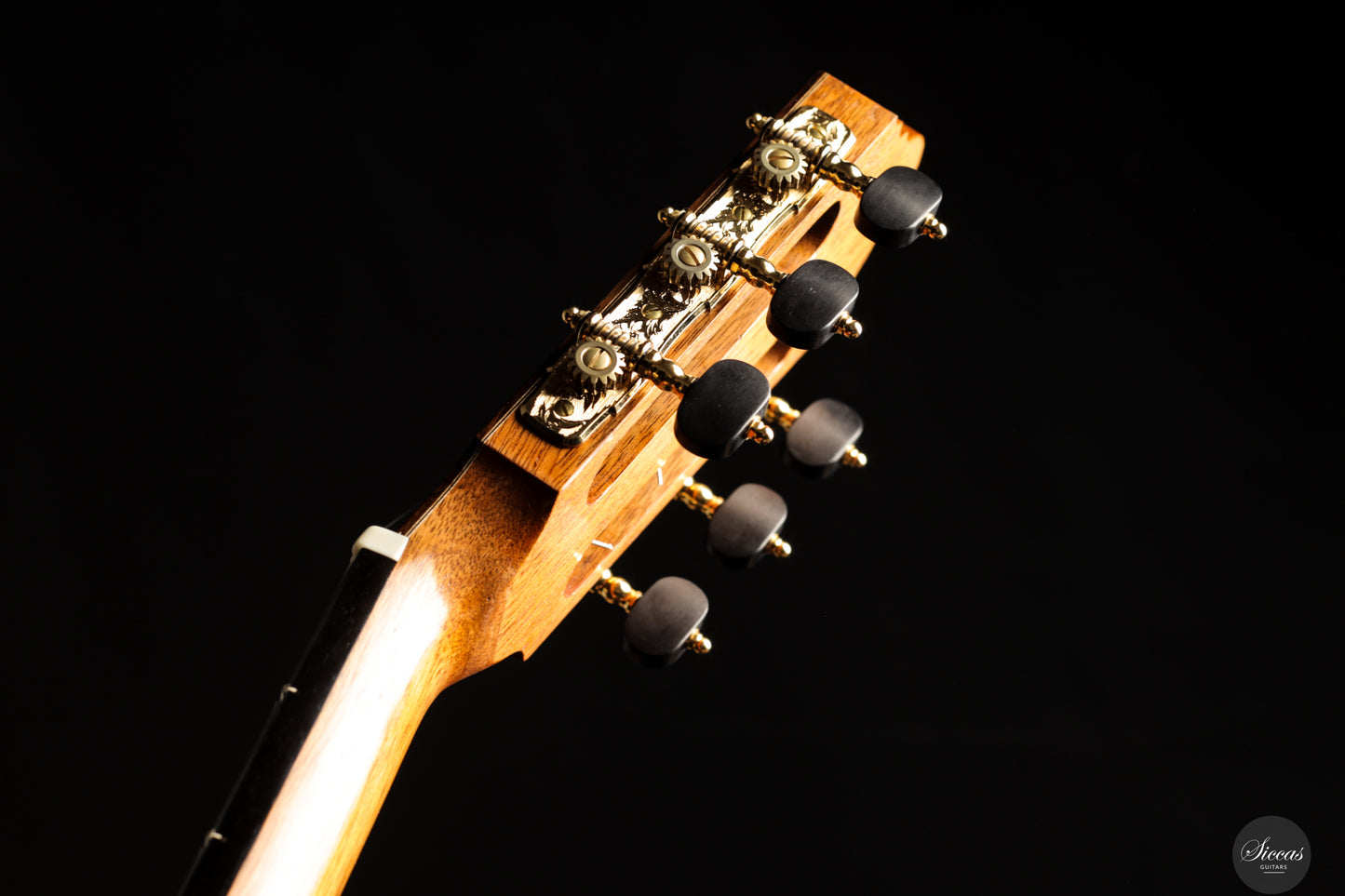 Felix Müller - 2025 Doubletop