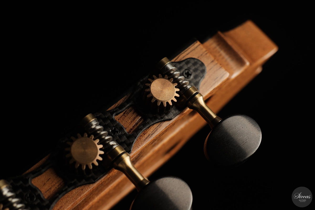 Fernando Mazza - 2025 20th Anniversary Model Lattice