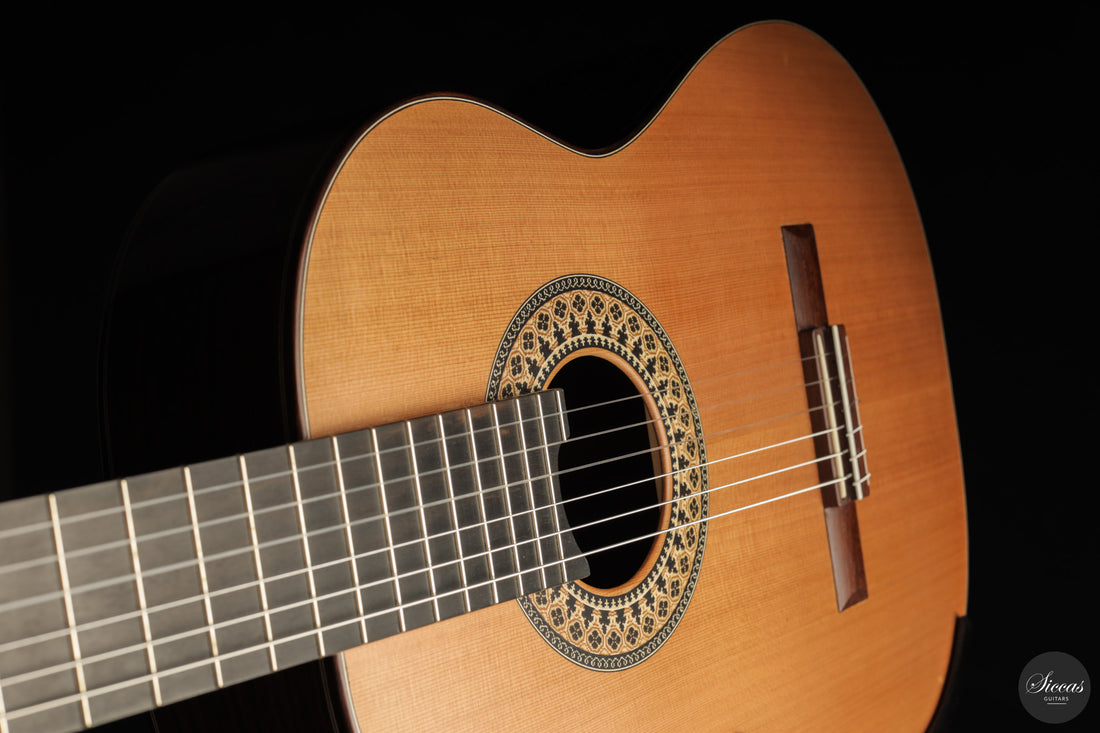 Fernando Mazza - 2025 20th Anniversary Model Lattice