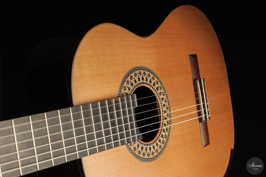 Fernando Mazza - 2025 20th Anniversary Model Lattice img-2