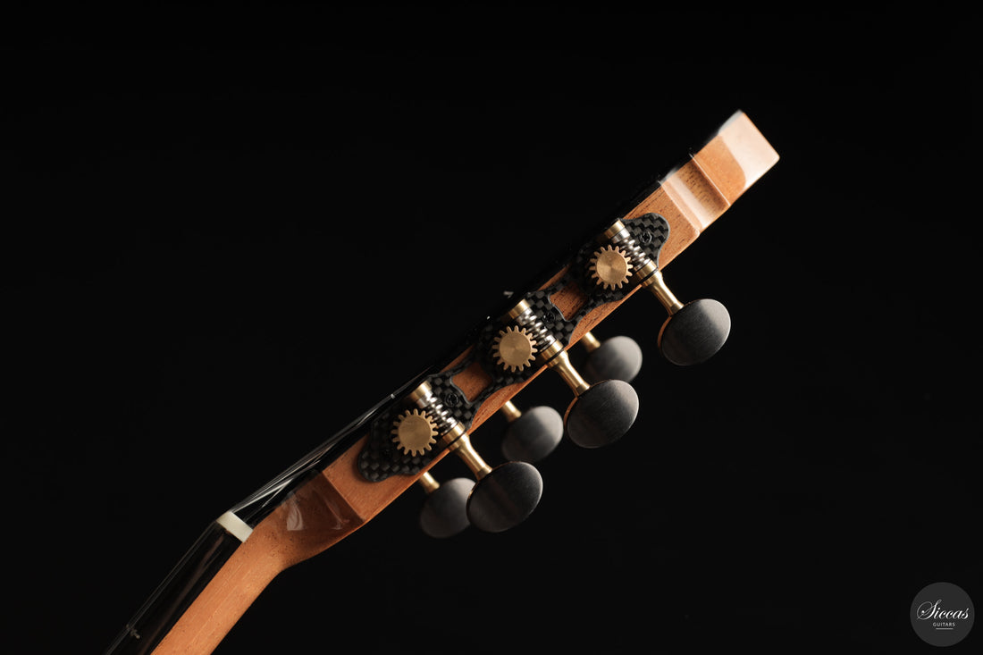 Fernando Mazza - 2025 20th Anniversary Model Lattice