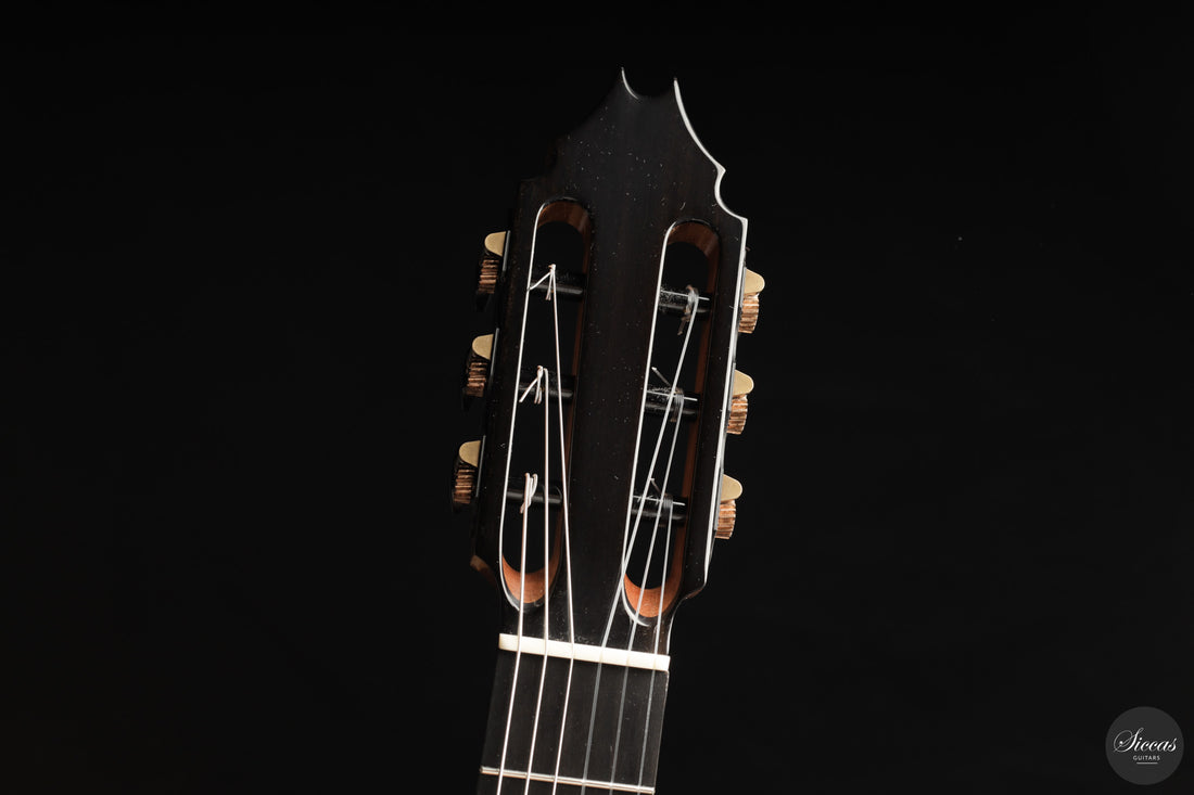 Fernando Mazza - 2025 20th Anniversary Model Lattice