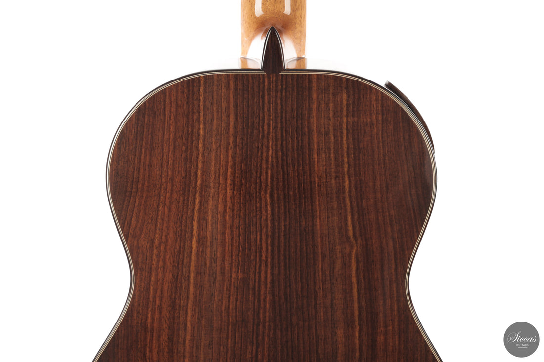 Fernando Mazza - 2025 20th Anniversary Model Lattice