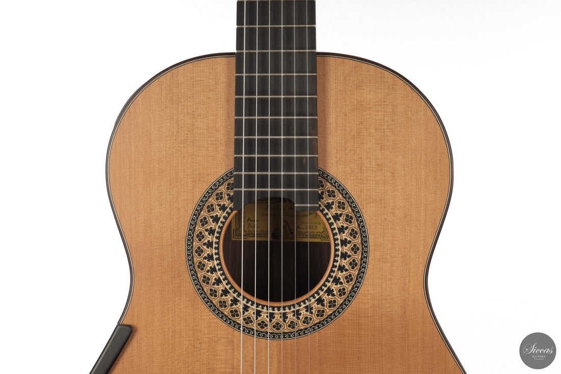 Fernando Mazza - 2025 20th Anniversary Model Lattice