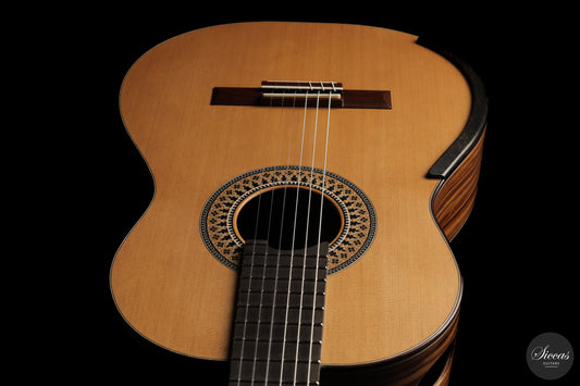 Fernando Mazza - 2026