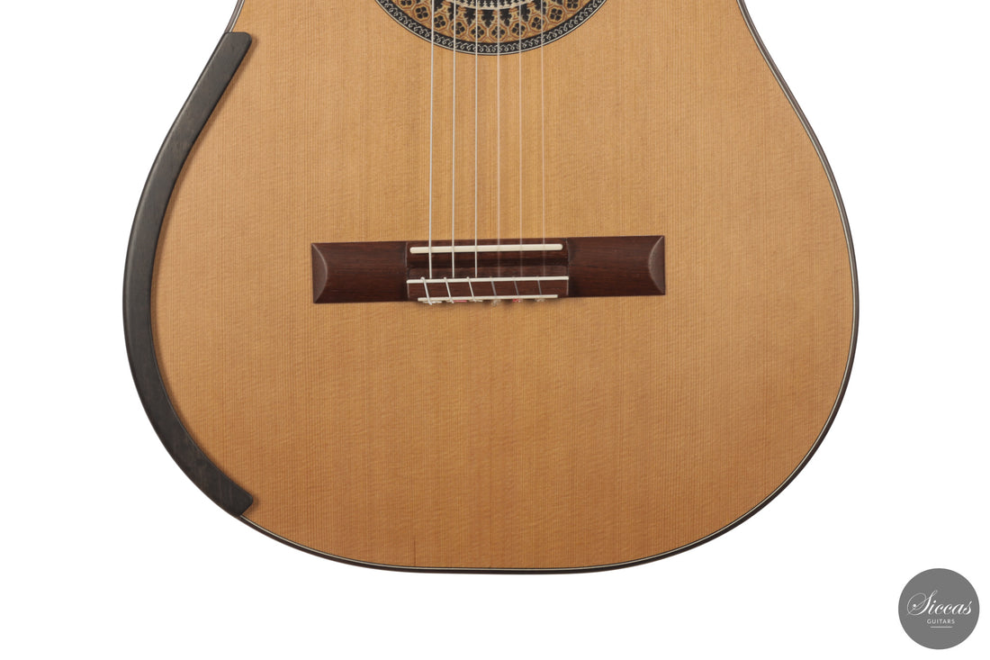 Fernando Mazza - 2026