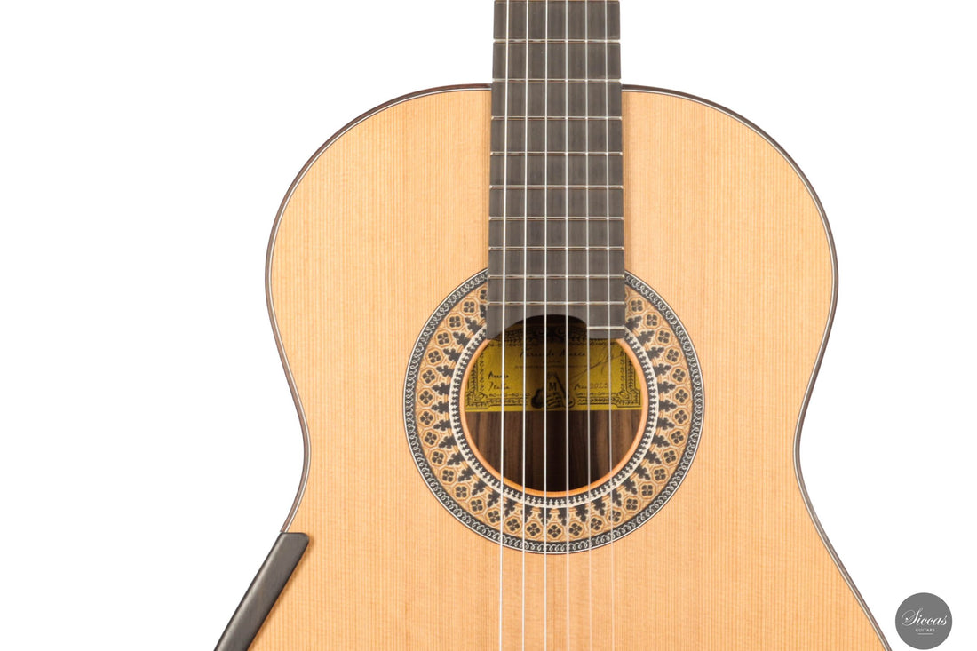 Fernando Mazza - 2025 Lattice REG 2025 Limited Edition