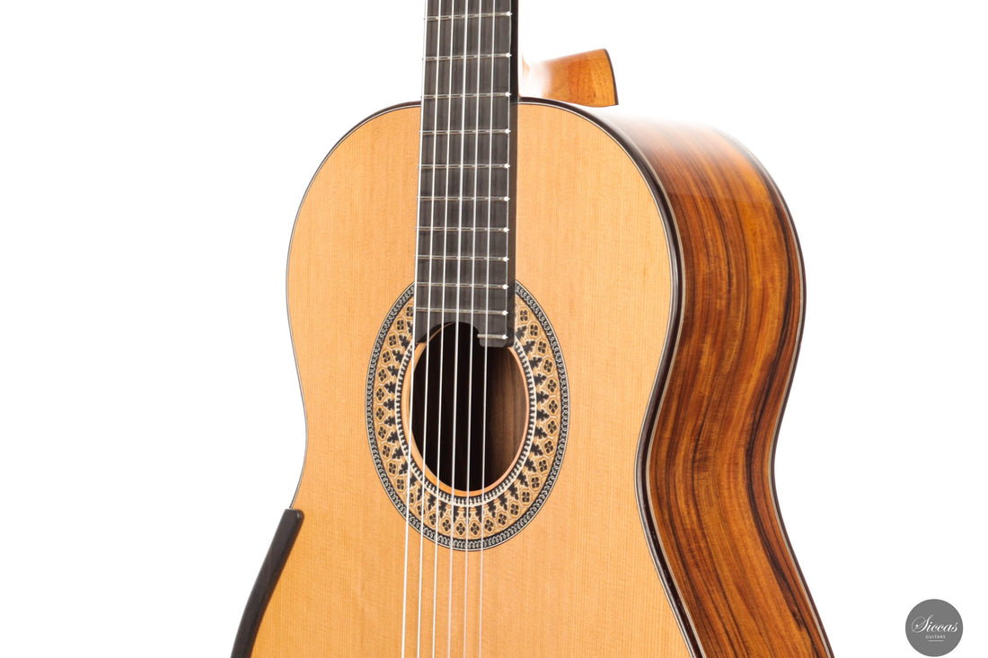 Fernando Mazza - 2025 Lattice REG 2025 Limited Edition
