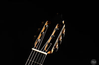 Fernando Mazza - 2025 Lattice REG 2025 Limited Edition