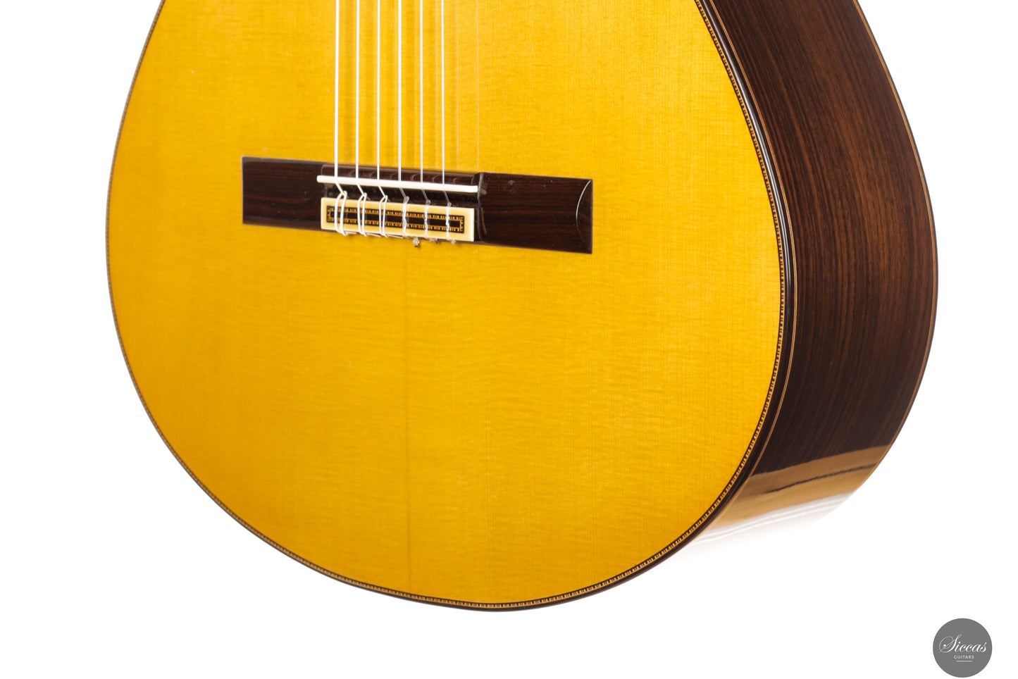 Francisco Barba - 2025