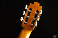 Francisco Barba - 2025