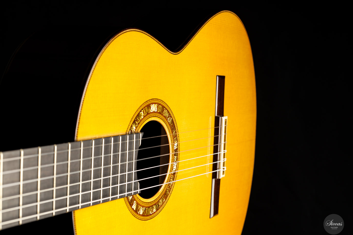 Francisco Barba - 2025