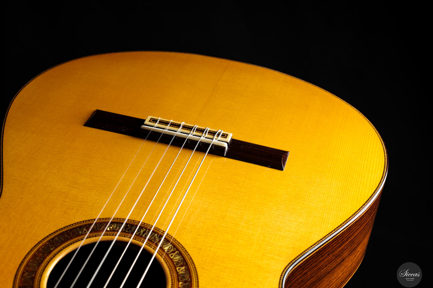 Francisco Barba - 2025