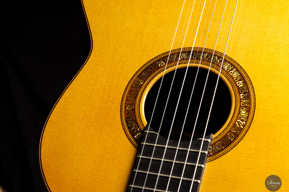 Francisco Barba - 2025