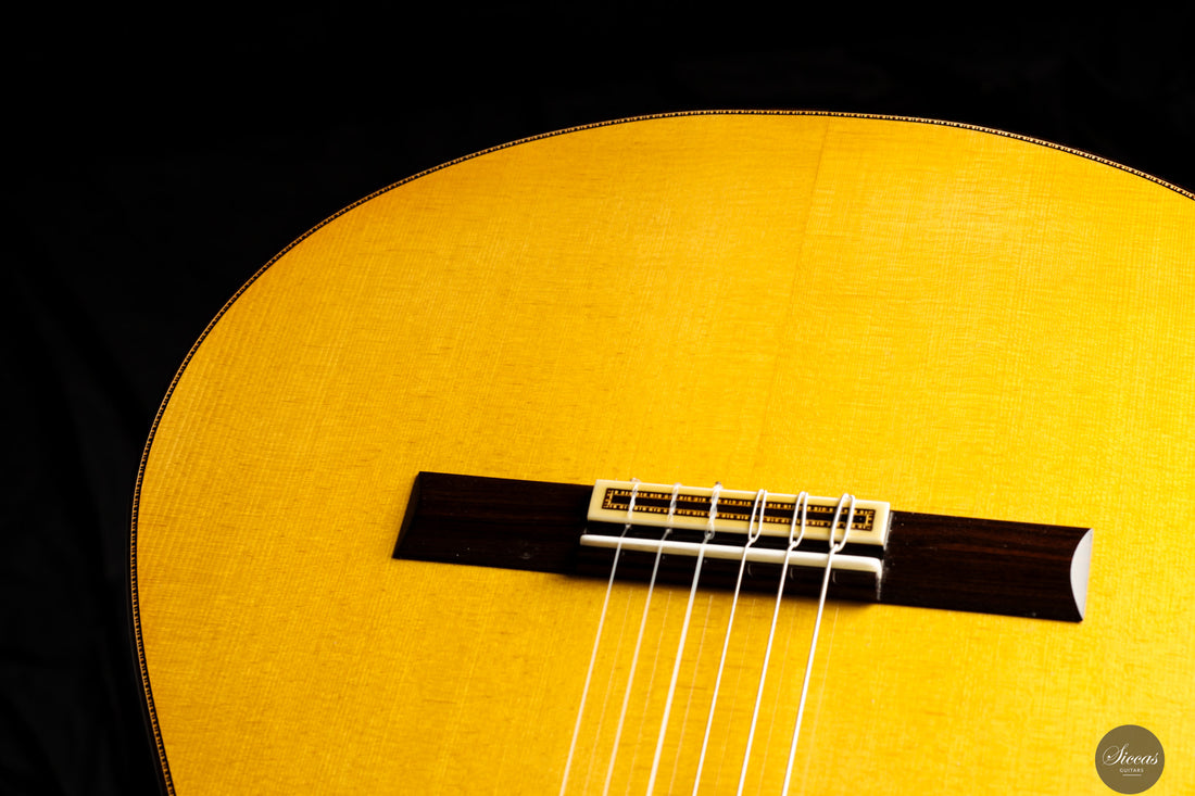 Francisco Barba - 2025