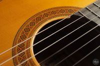Francisco Barba - 2025 Flamenco No. 07