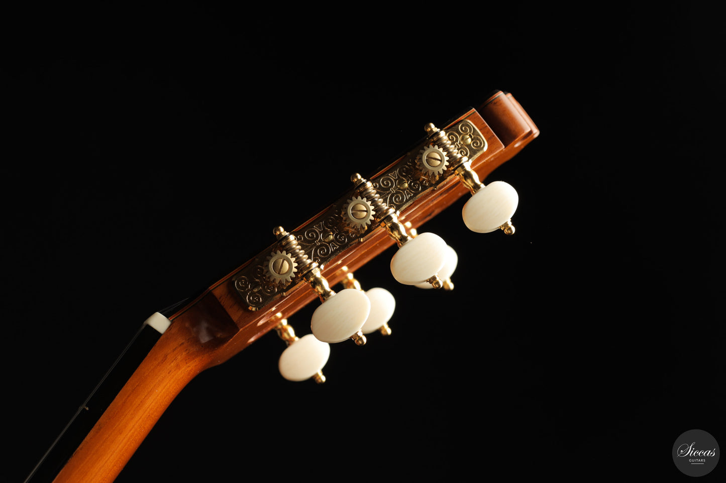 Francisco Barba - 2025 Flamenco No. 07