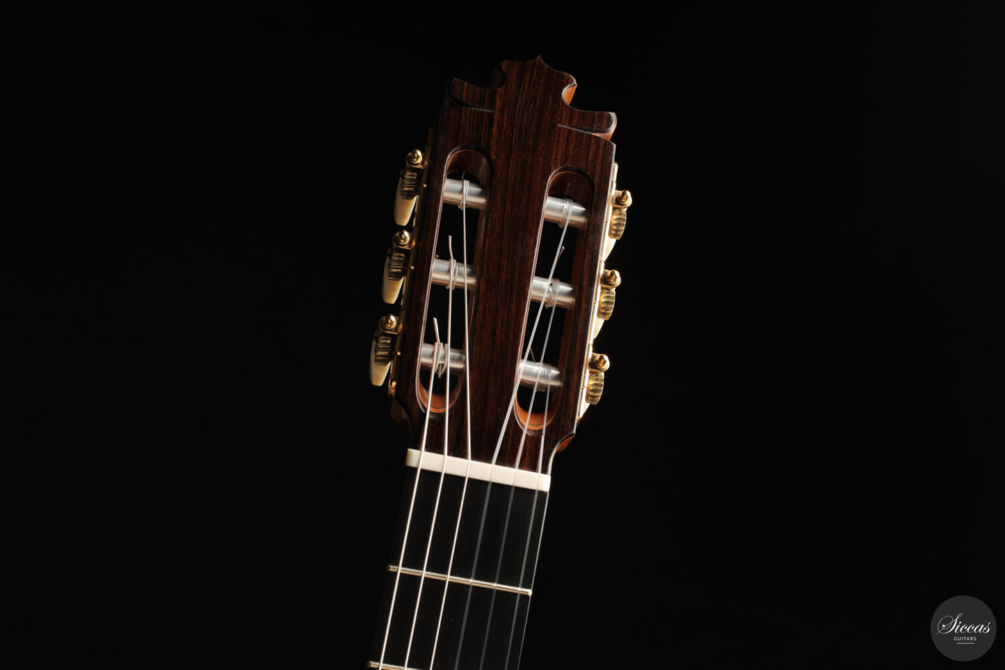 Francisco Barba - 2025 Flamenco No. 07