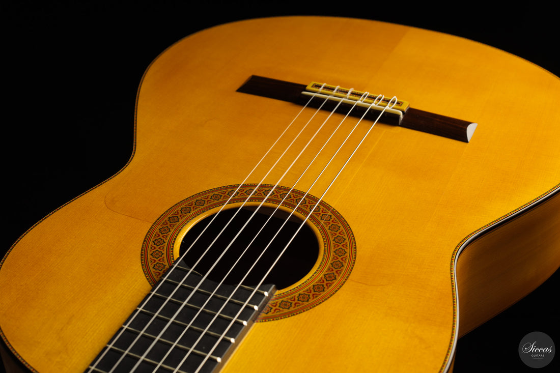 Francisco Barba - 2025 Flamenco No. 07