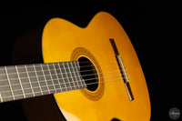 Francisco Barba - 2025 Flamenco No. 07