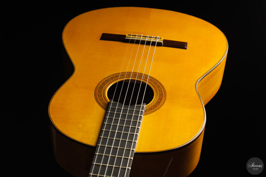 Francisco Barba - 2025 Flamenco No. 07