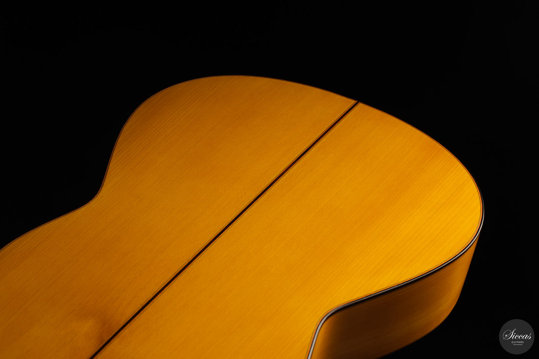 Francisco Barba - 2025 Flamenco No. 07