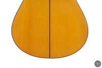 Francisco Barba - 2025 Flamenco No. 07