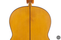 Francisco Barba - 2025 Flamenco No. 07