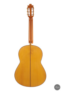 Francisco Barba - 2025 Flamenco No. 07