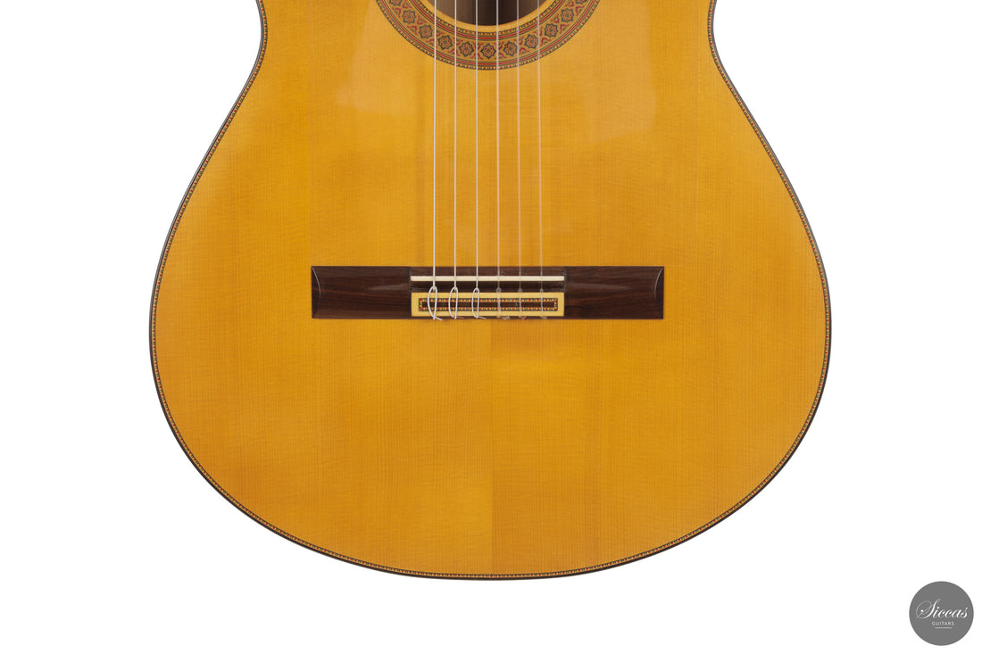 Francisco Barba - 2025 Flamenco No. 07