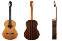 Olivier Planchon - 2020