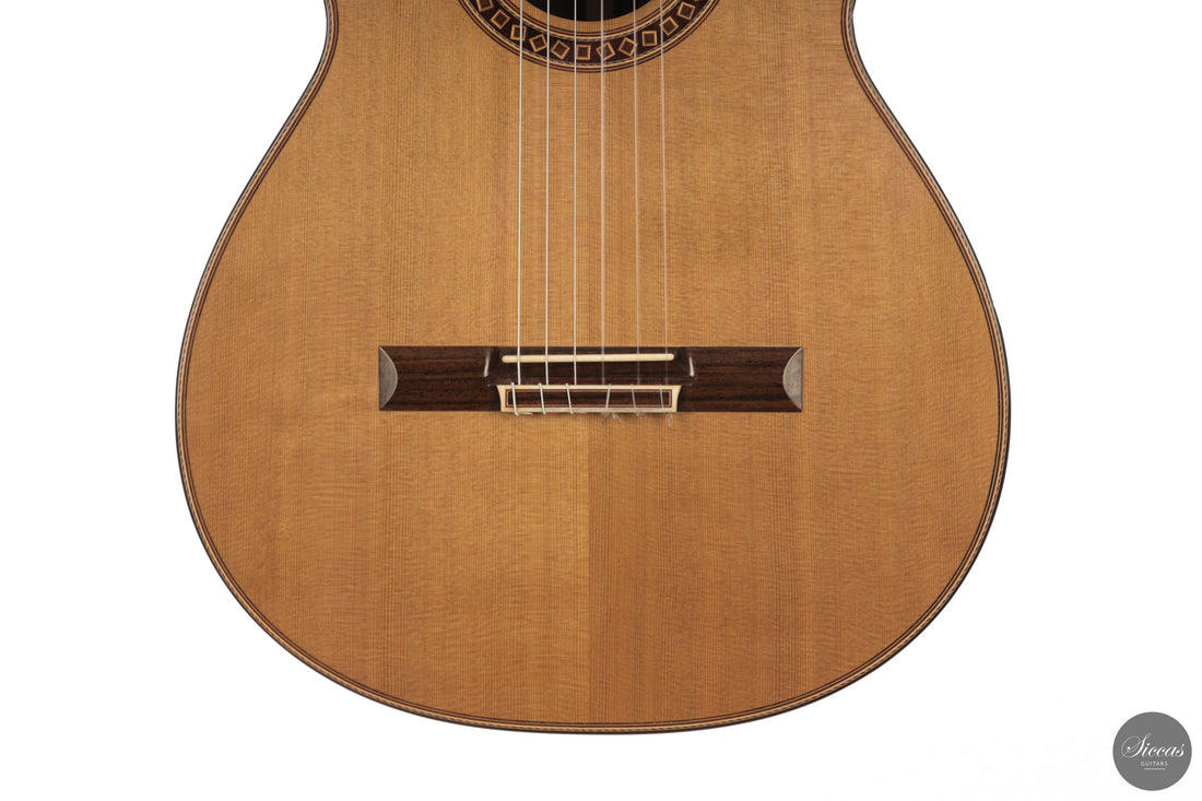 Friederike Linscheid - 2026 Doubletop
