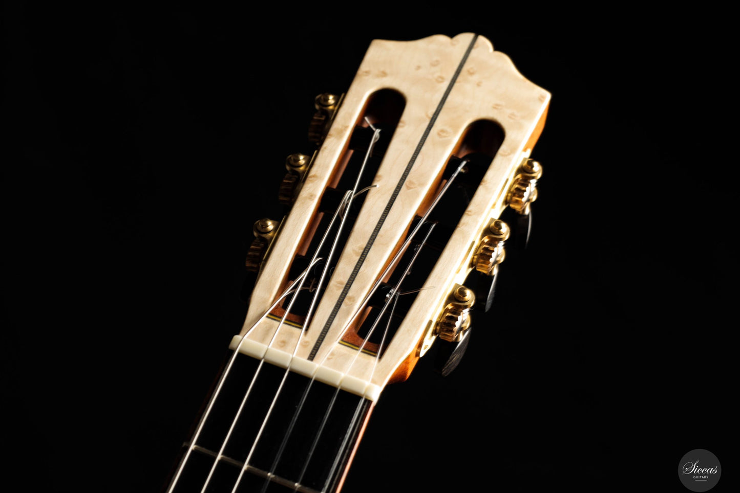 Giacomo Guadagna - 2025 - REG Limited Edition