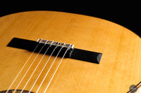Giacomo Guadagna - 2025 - REG Limited Edition