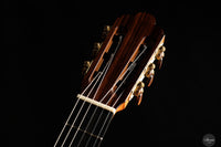 Giancarlo Nannoni - 2025 - Contemporary
