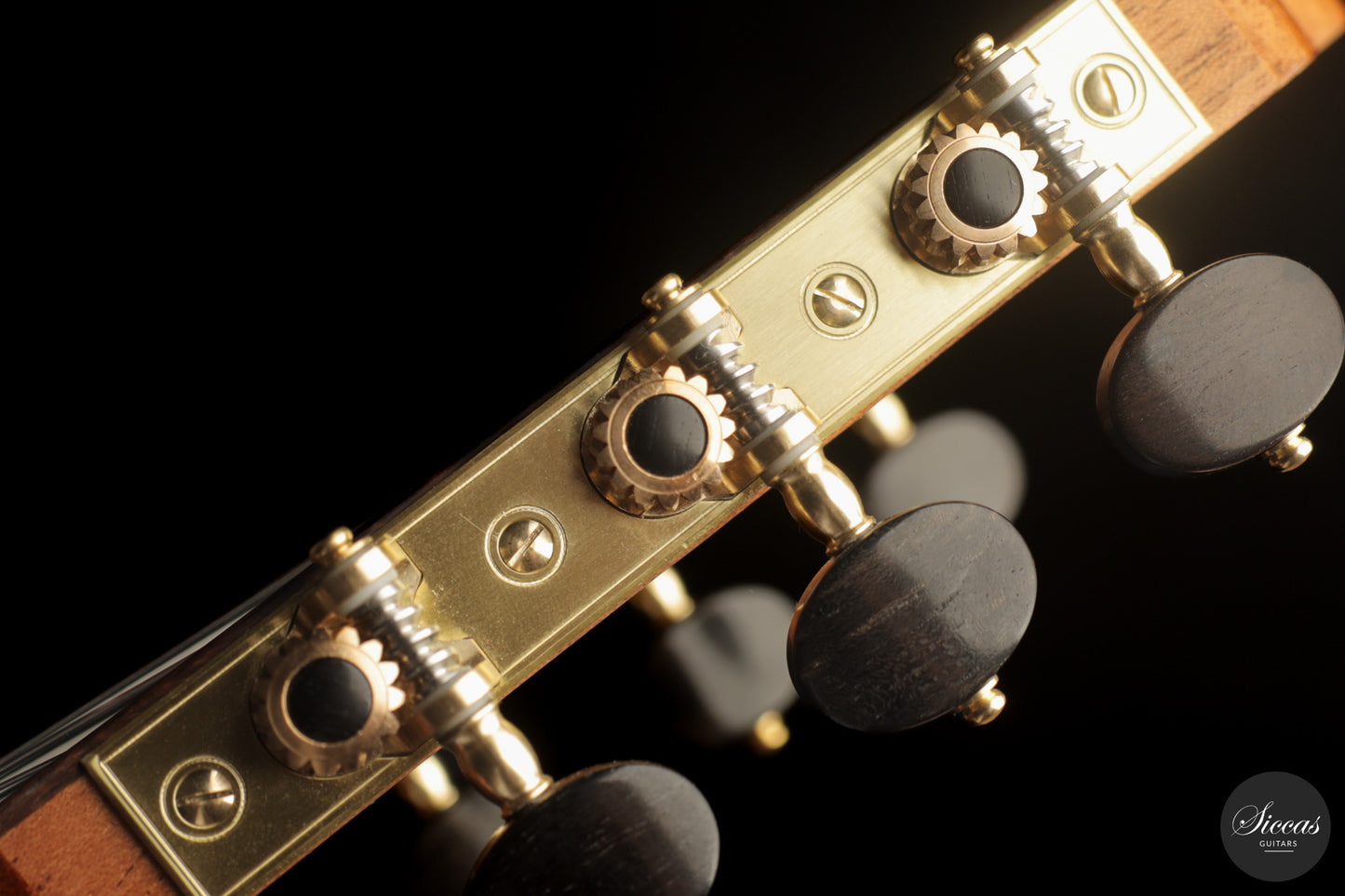 Giancarlo Nannoni - 2026 Asterope