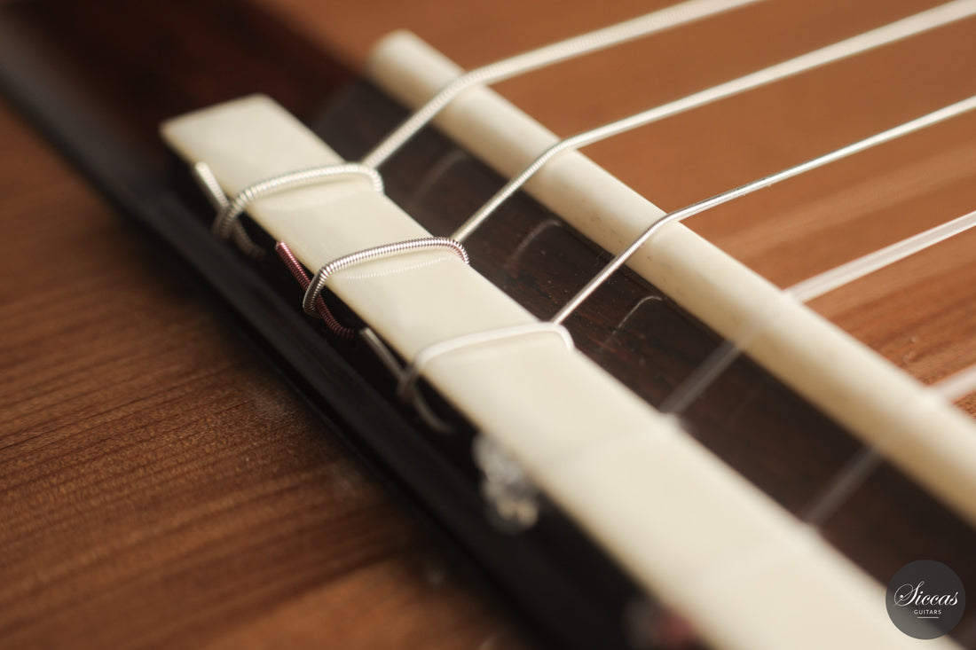 Giancarlo Nannoni - 2026 Asterope