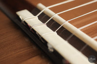 Giancarlo Nannoni - 2026 Asterope