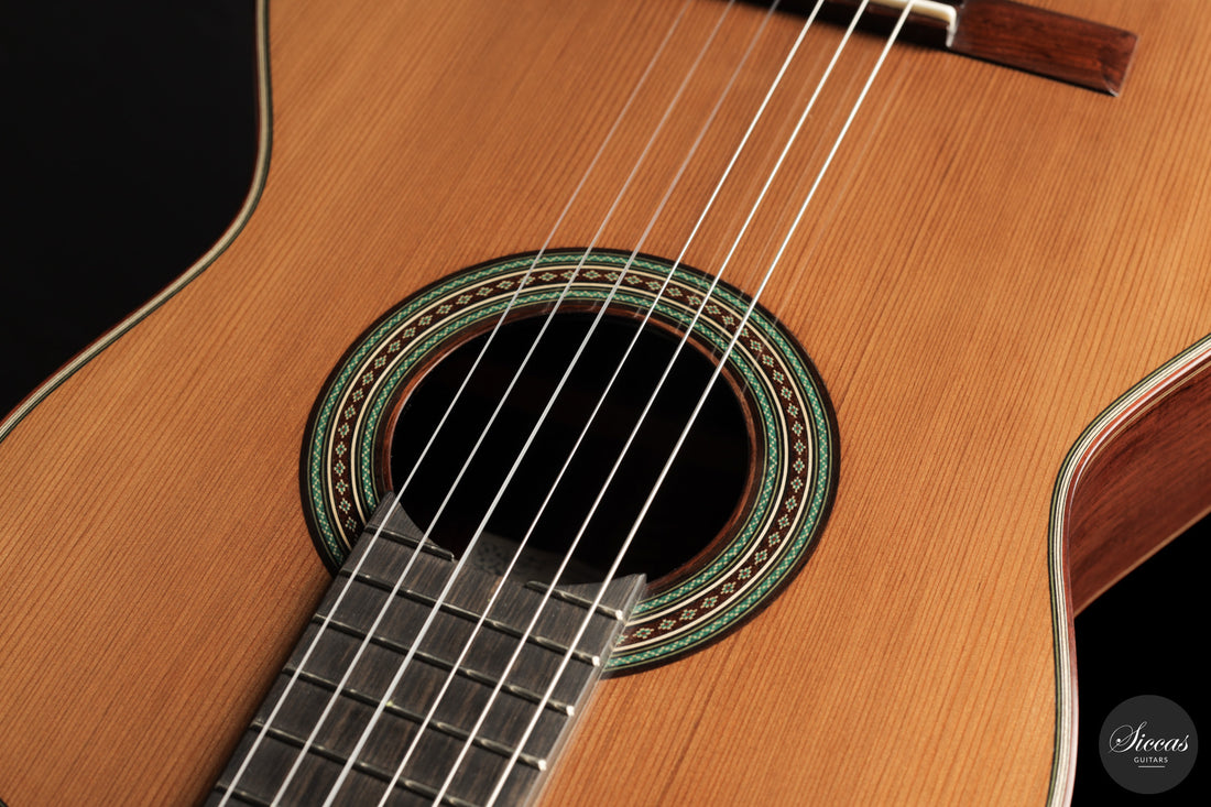 Giancarlo Nannoni - 2026 Asterope