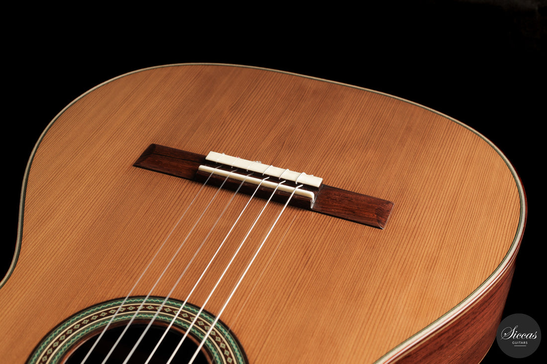 Giancarlo Nannoni - 2026 Asterope