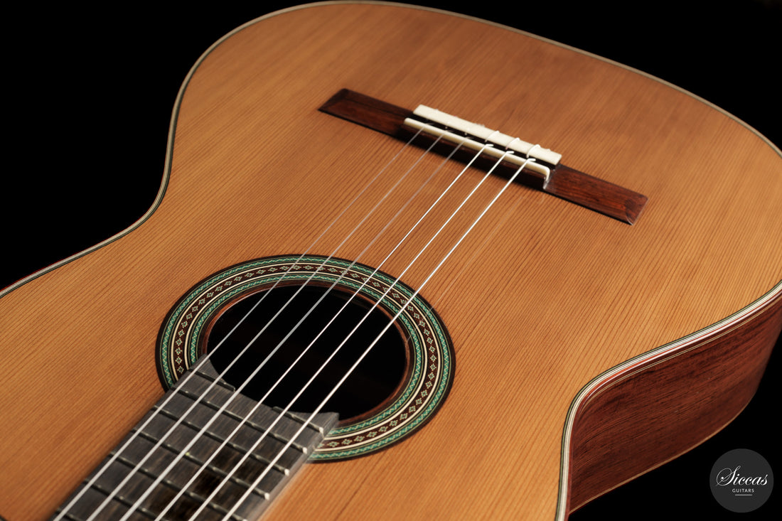 Giancarlo Nannoni - 2026 Asterope