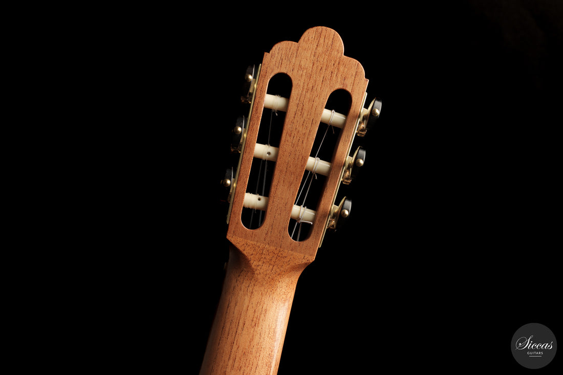 Giancarlo Nannoni - 2026 Asterope