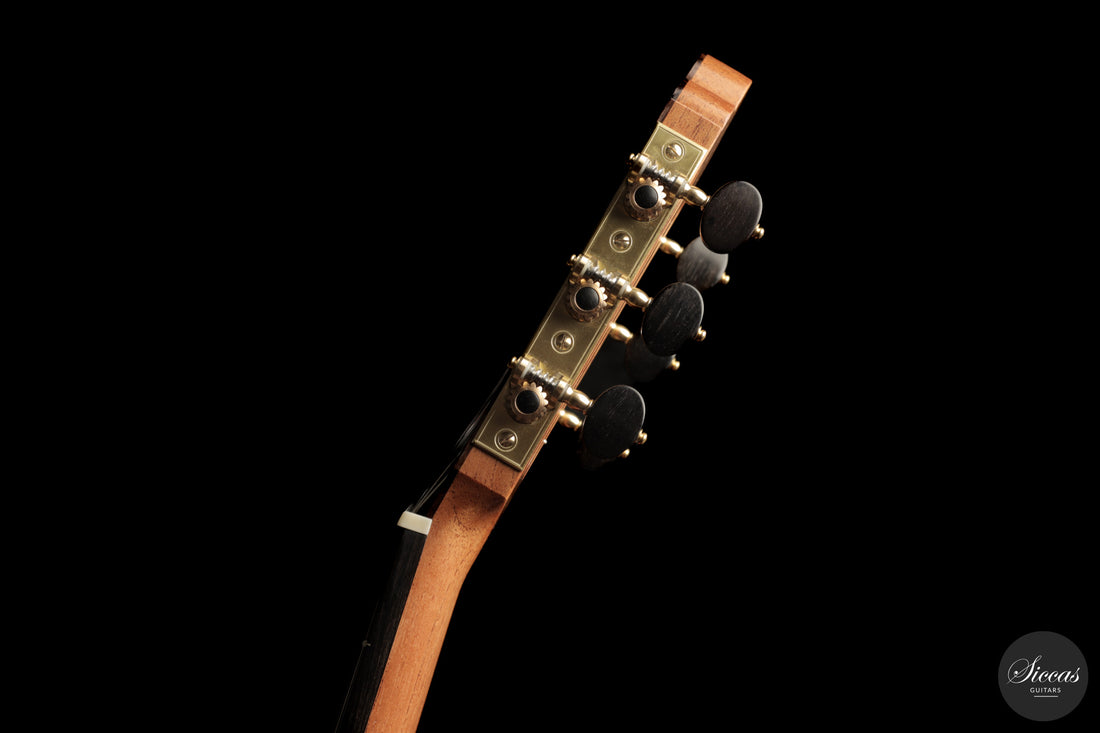 Giancarlo Nannoni - 2026 Asterope