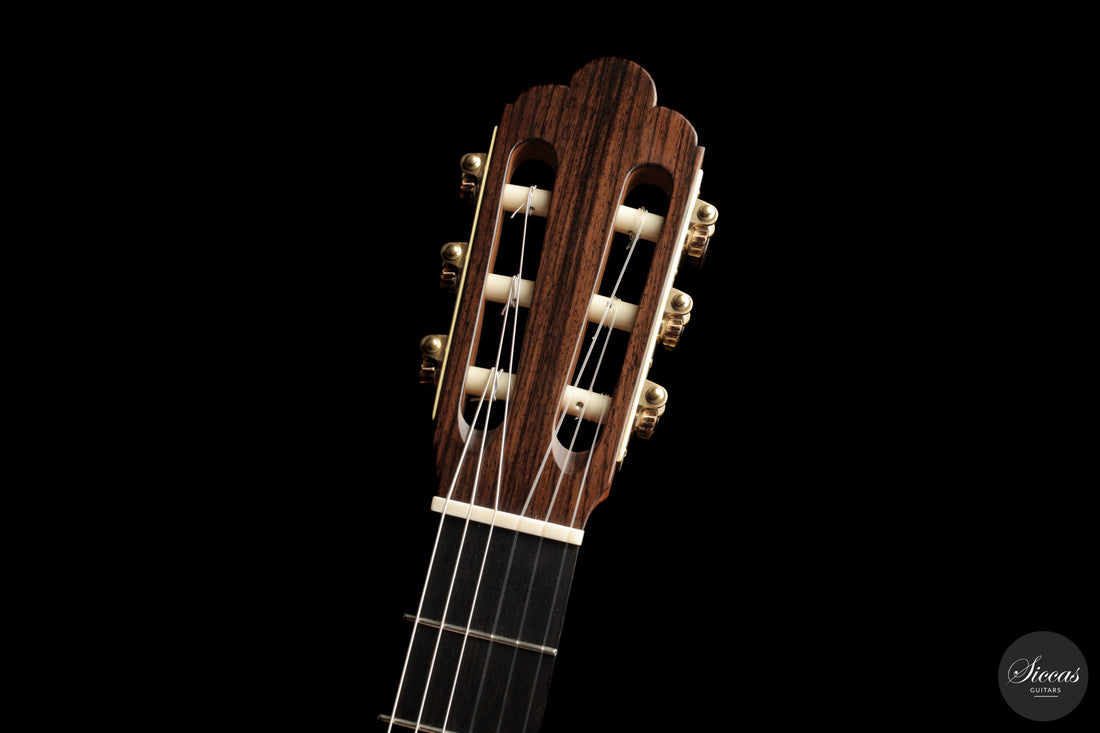 Giancarlo Nannoni - 2026 Asterope