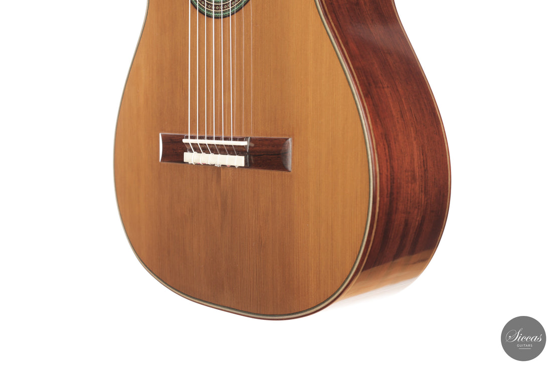 Giancarlo Nannoni - 2026 Asterope