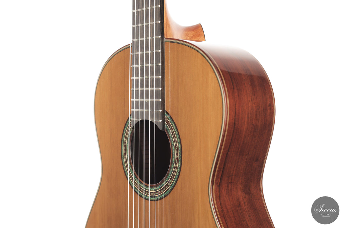 Giancarlo Nannoni - 2026 Asterope