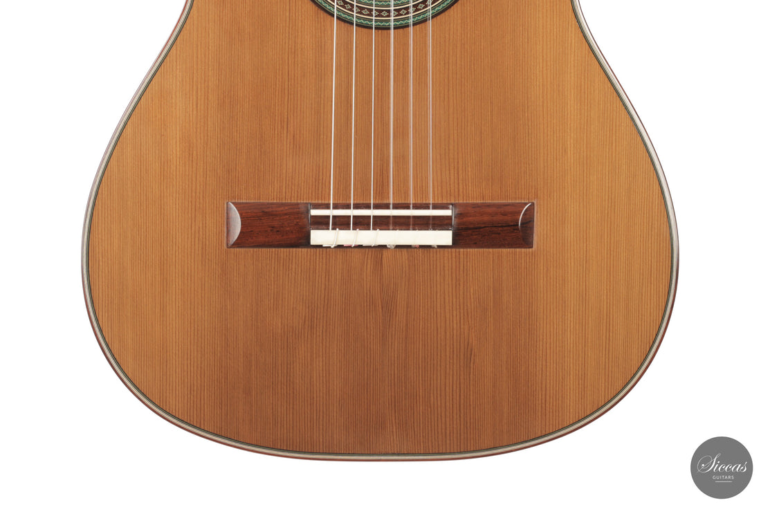 Giancarlo Nannoni - 2026 Asterope