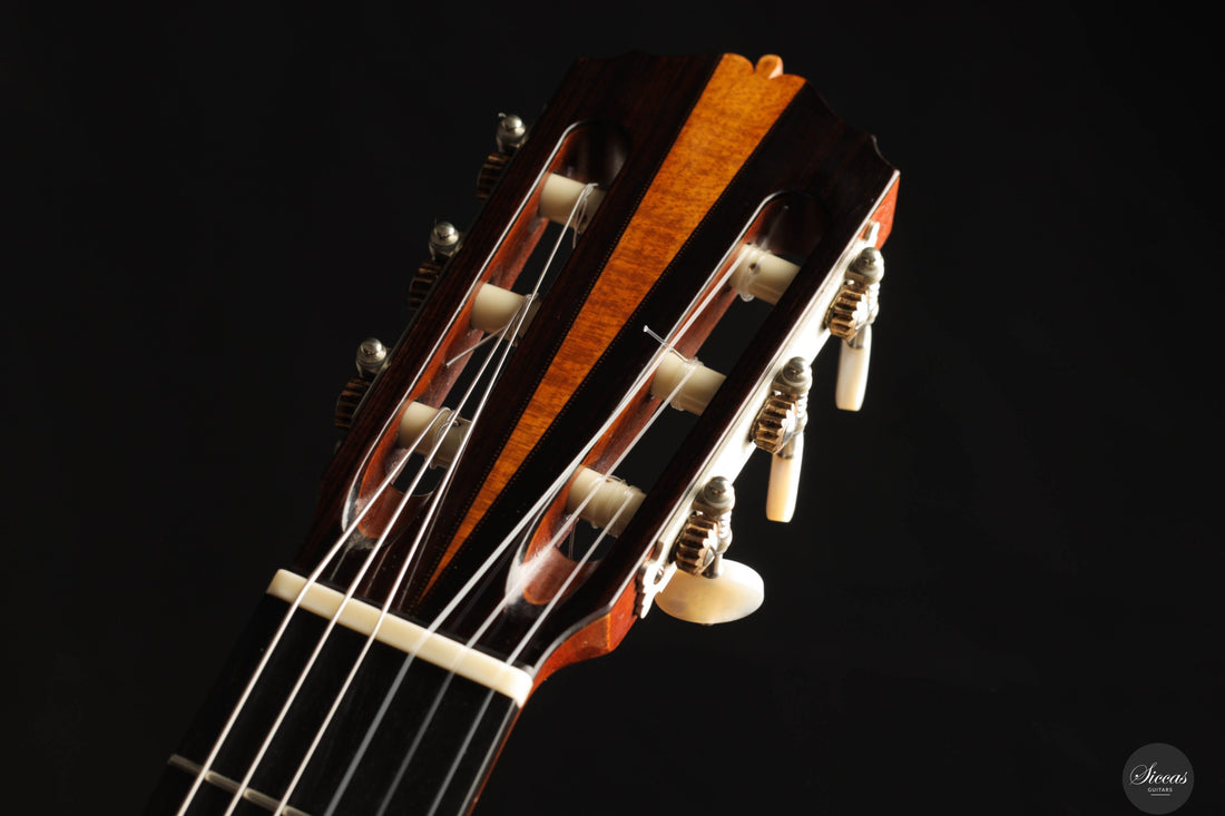 Giovanni Tacchi - 2023 Spruce / Flamed Maple