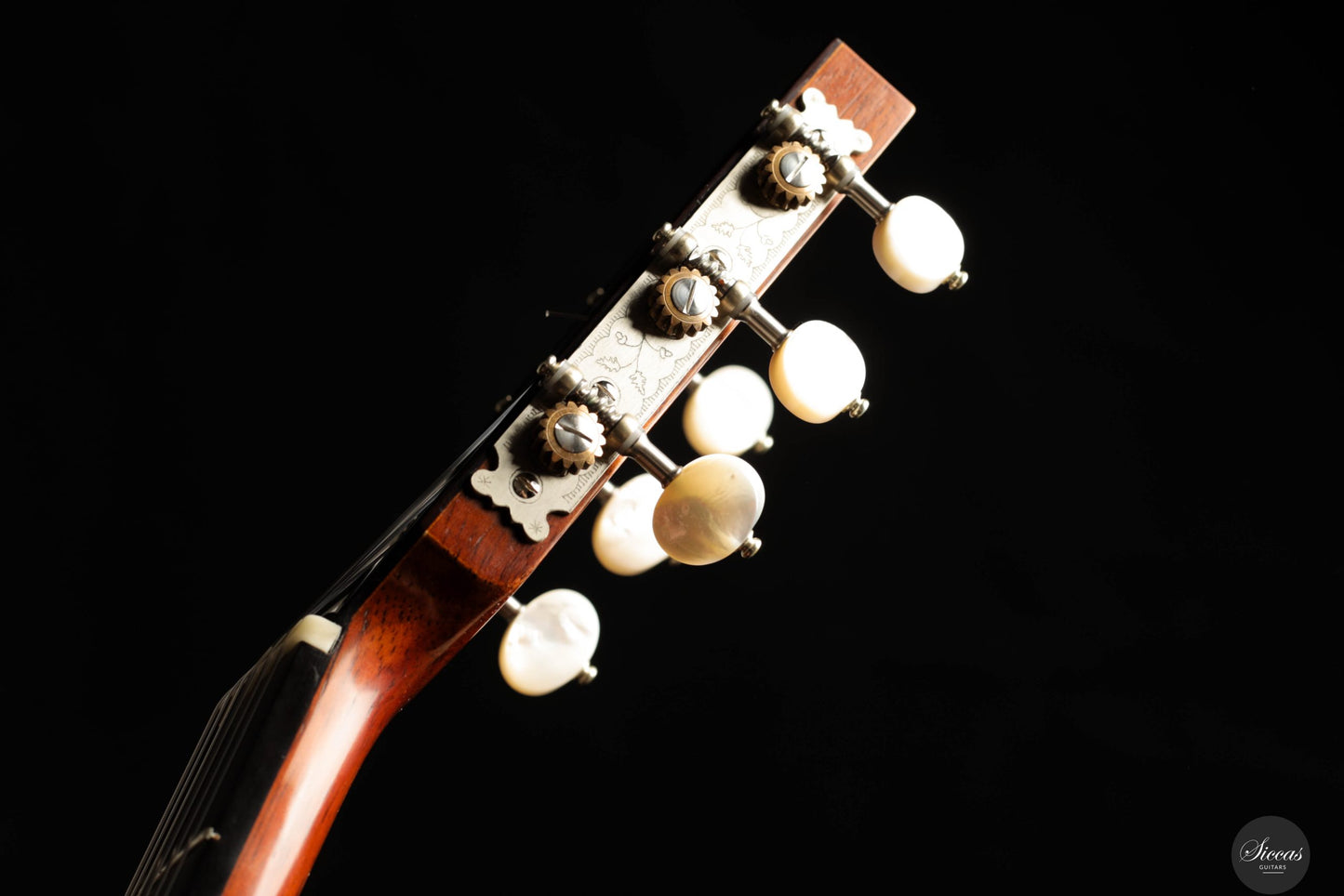 Giovanni Tacchi - 2023 Spruce / Flamed Maple