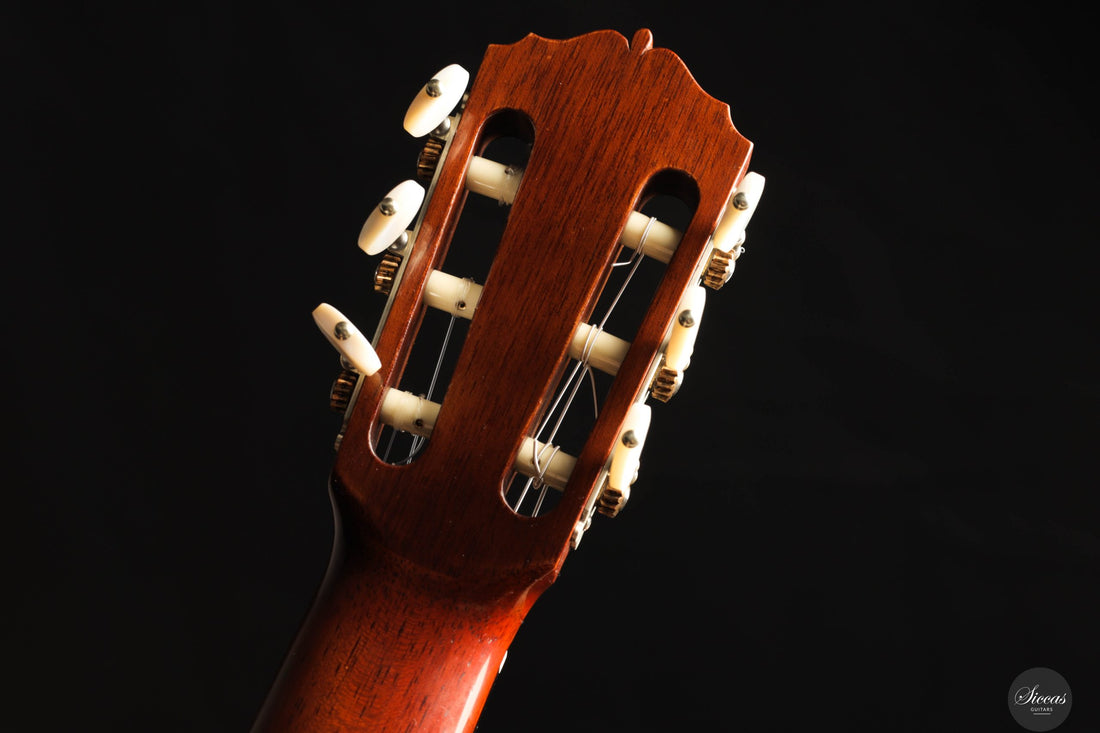 Giovanni Tacchi - 2023 Spruce / Flamed Maple